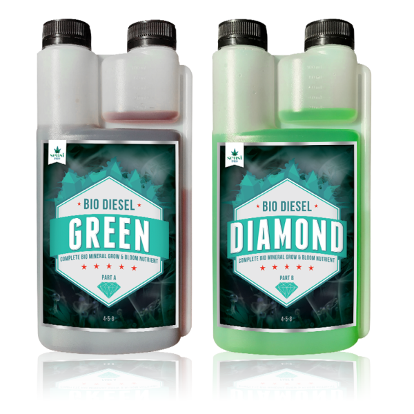 Bio-Diesel-GreenDiamond_Bottles-web-600