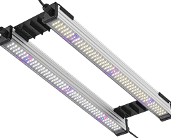 PS-1 Propagation - LED